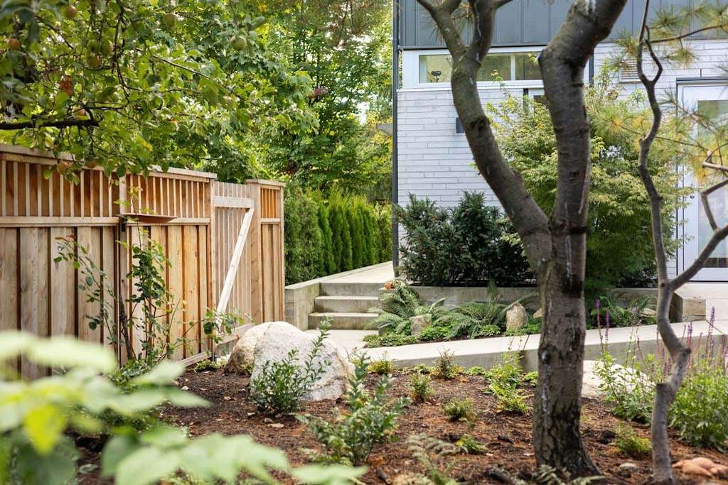 Urban Serenity landscaping project