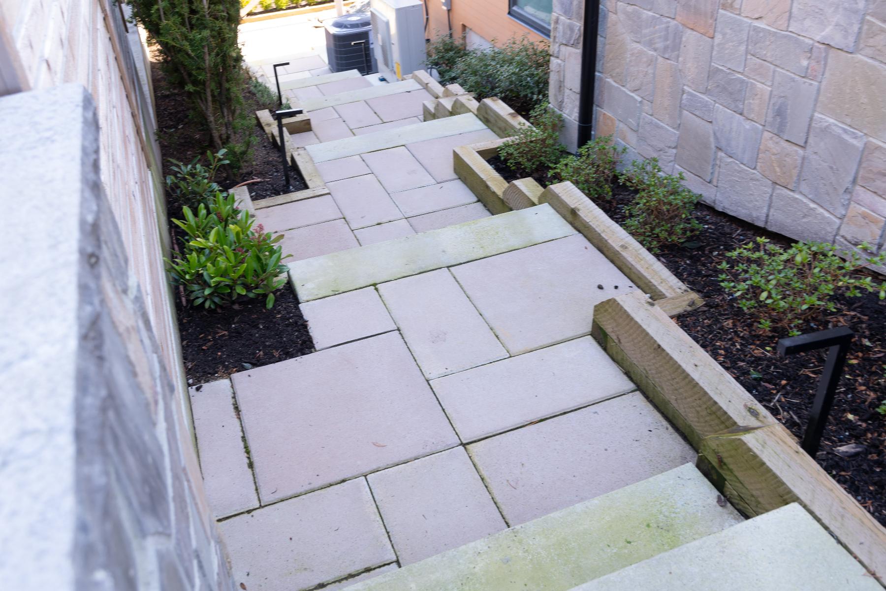 finished mulched pathway with plants