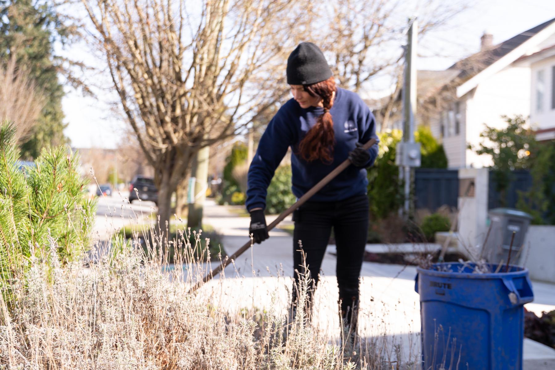 cleaning leaves at Vancouver W th location ()